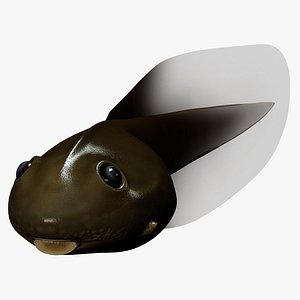 3ds max frog tadpole