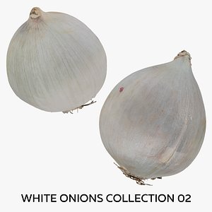 3D White Onions Collection 02 - 2 models RAW Scans