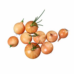 3D model Onions set