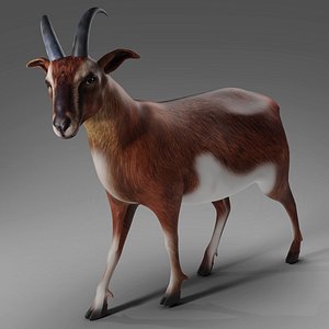 3D Goat 04 Rigged in Blender