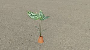 3D calathea plant model
