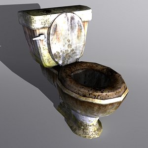 3d model toilet dirty