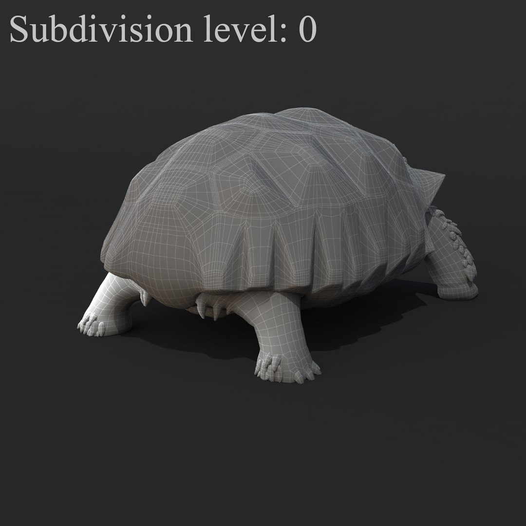 Realistic Turtle Rig Tortoise Shell Max