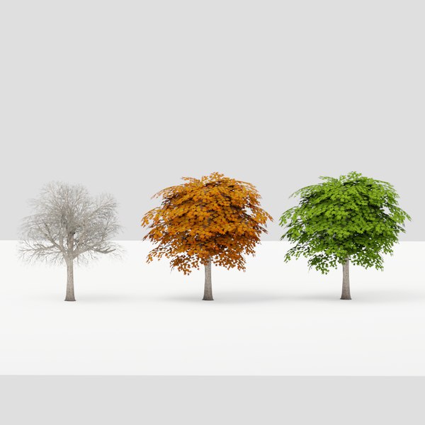 Trees 3D model - TurboSquid 1427036