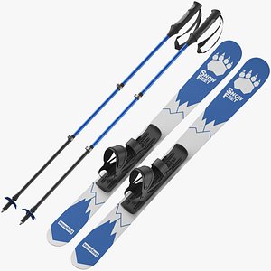 3D model Snow Ski Collection