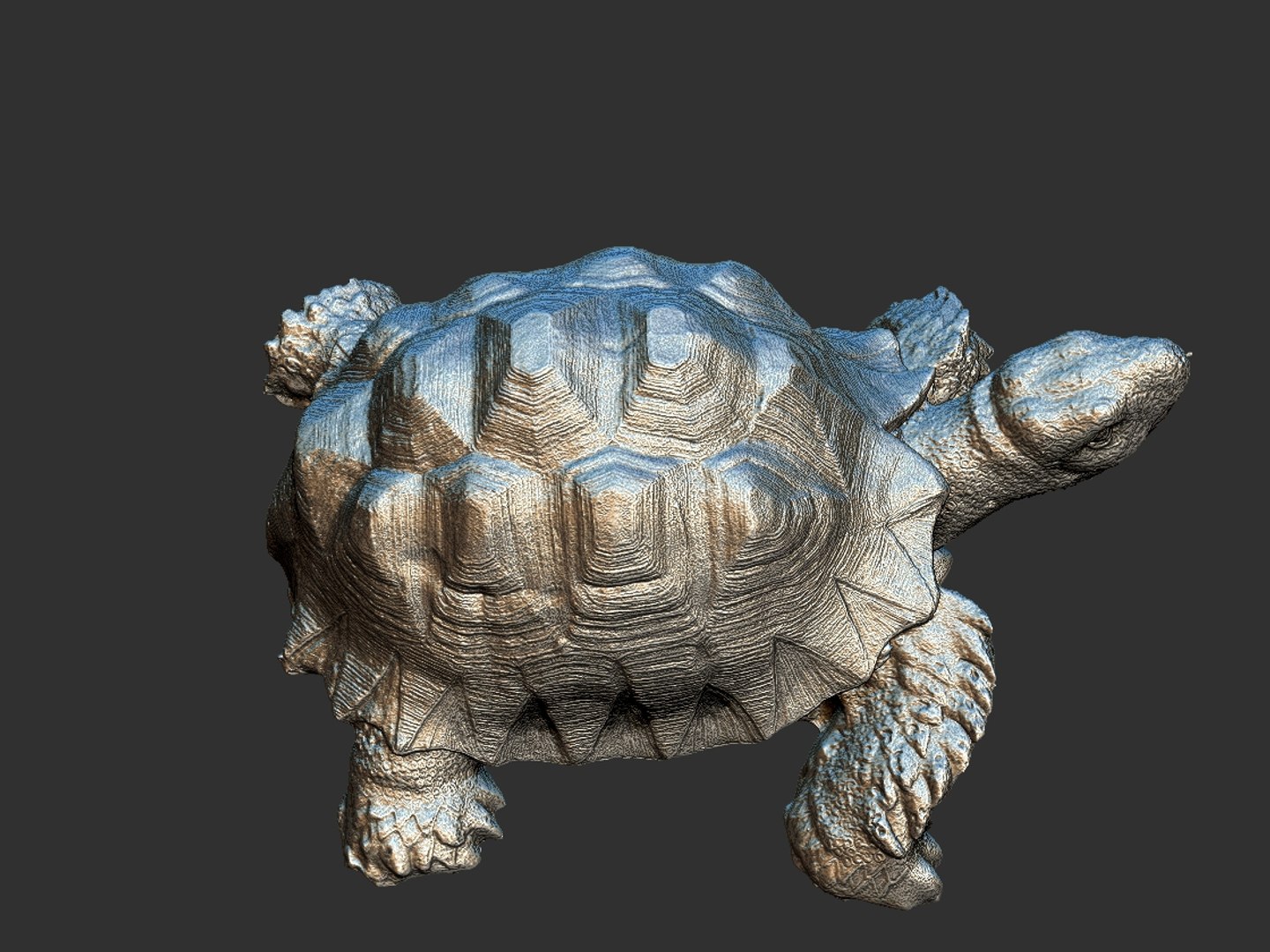 3D model stone turtle hd - TurboSquid 1525168