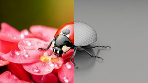 Realistic Insects Pack - Volume 01