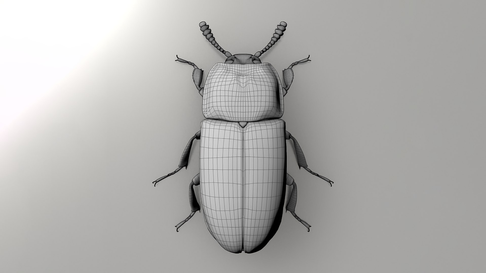 3D Realistic Insects Pack - Volume 01 - TurboSquid 2376991