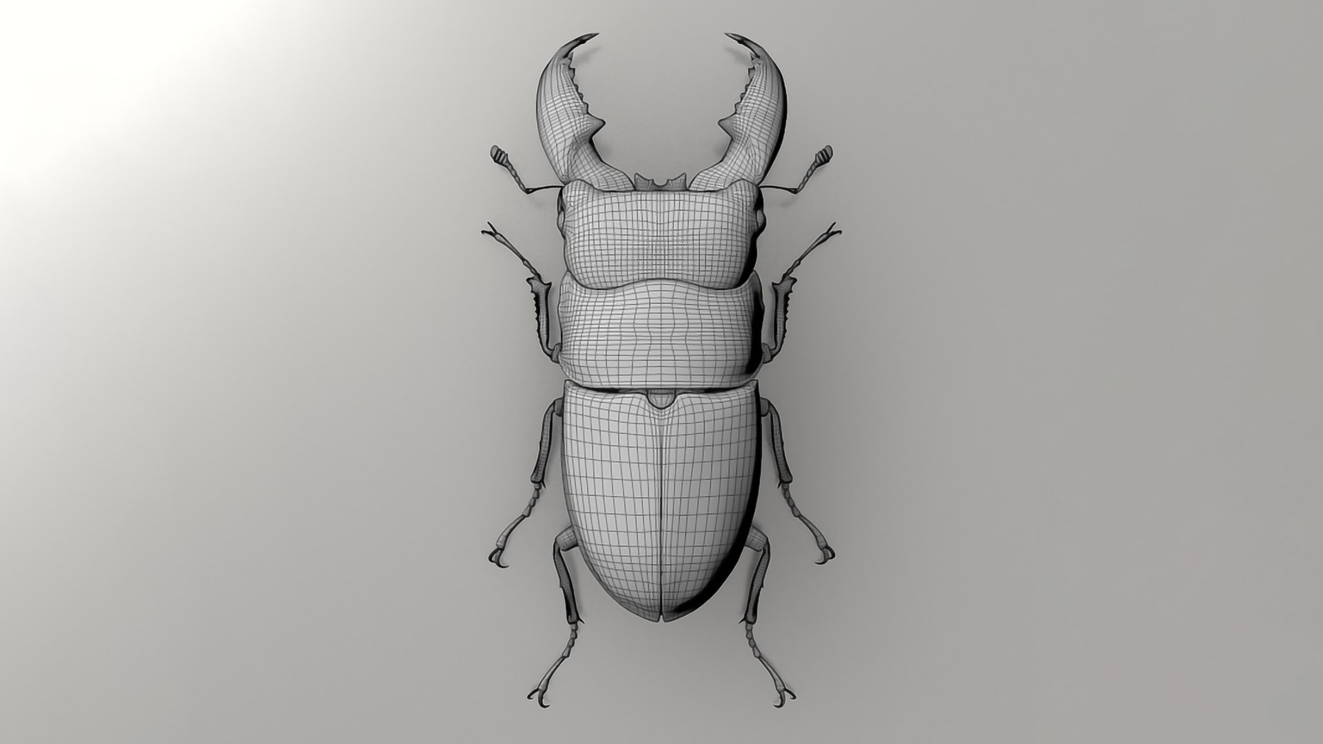 3D Realistic Insects Pack - Volume 01 - TurboSquid 2376991