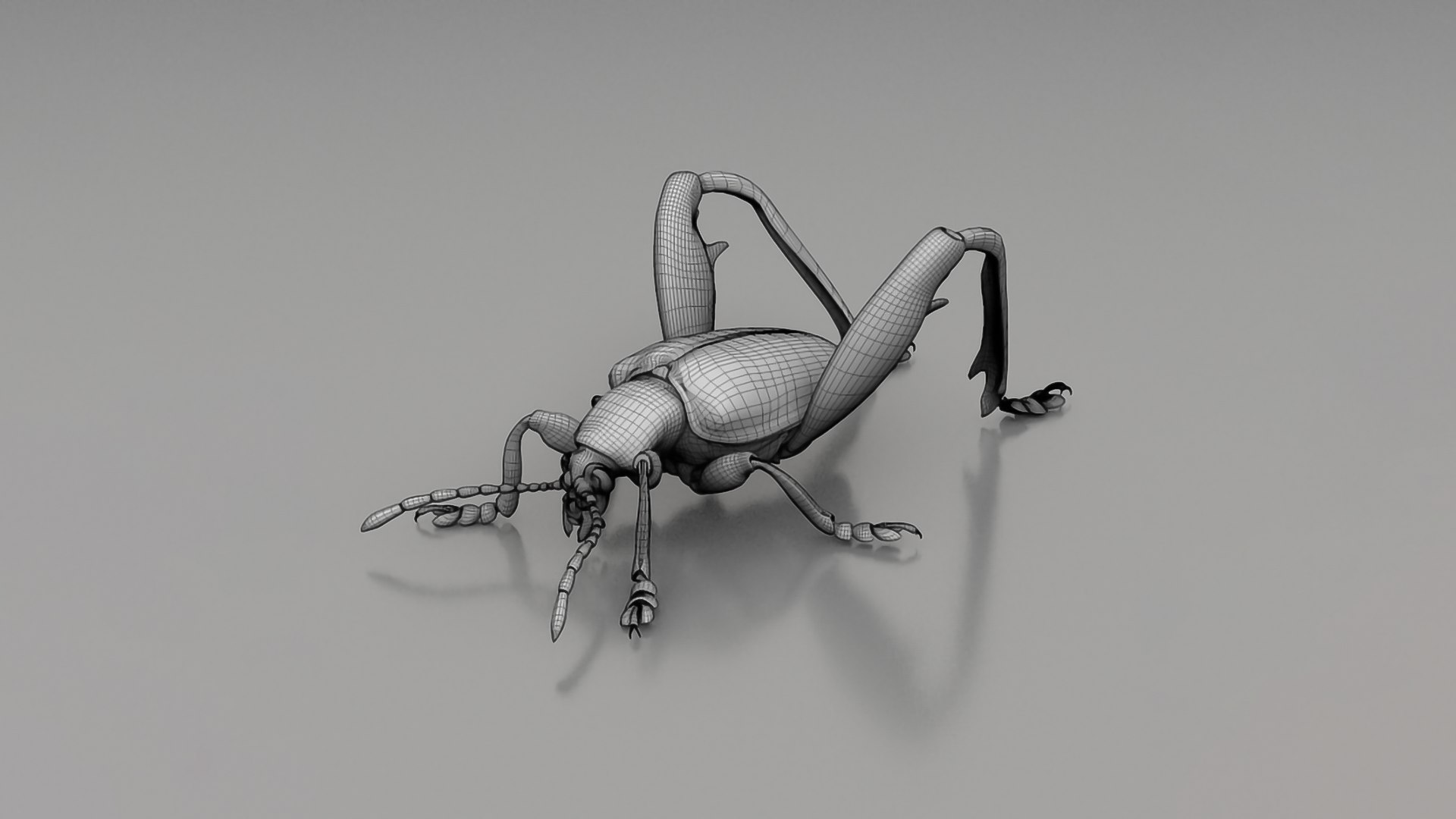3D Realistic Insects Pack - Volume 01 - TurboSquid 2376991