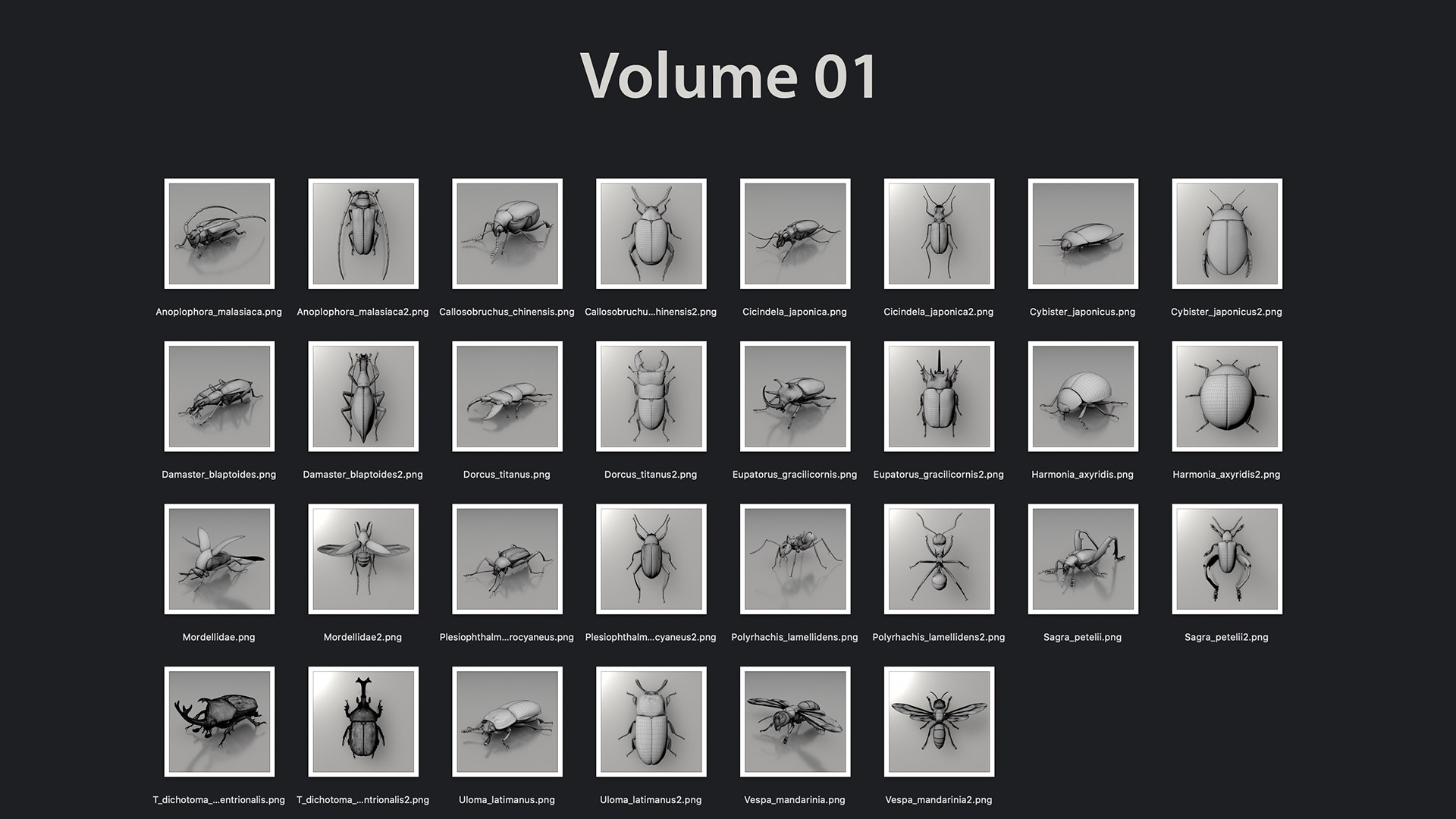 3D Realistic Insects Pack - Volume 01 - TurboSquid 2376991