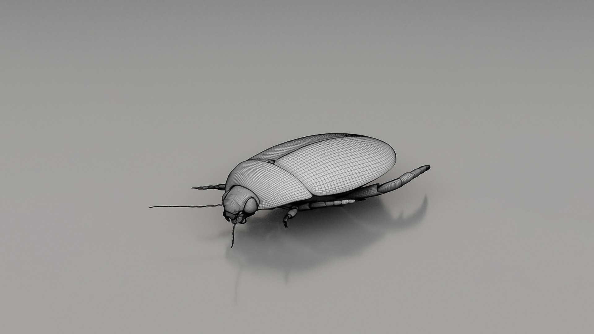 3D Realistic Insects Pack - Volume 01 - TurboSquid 2376991