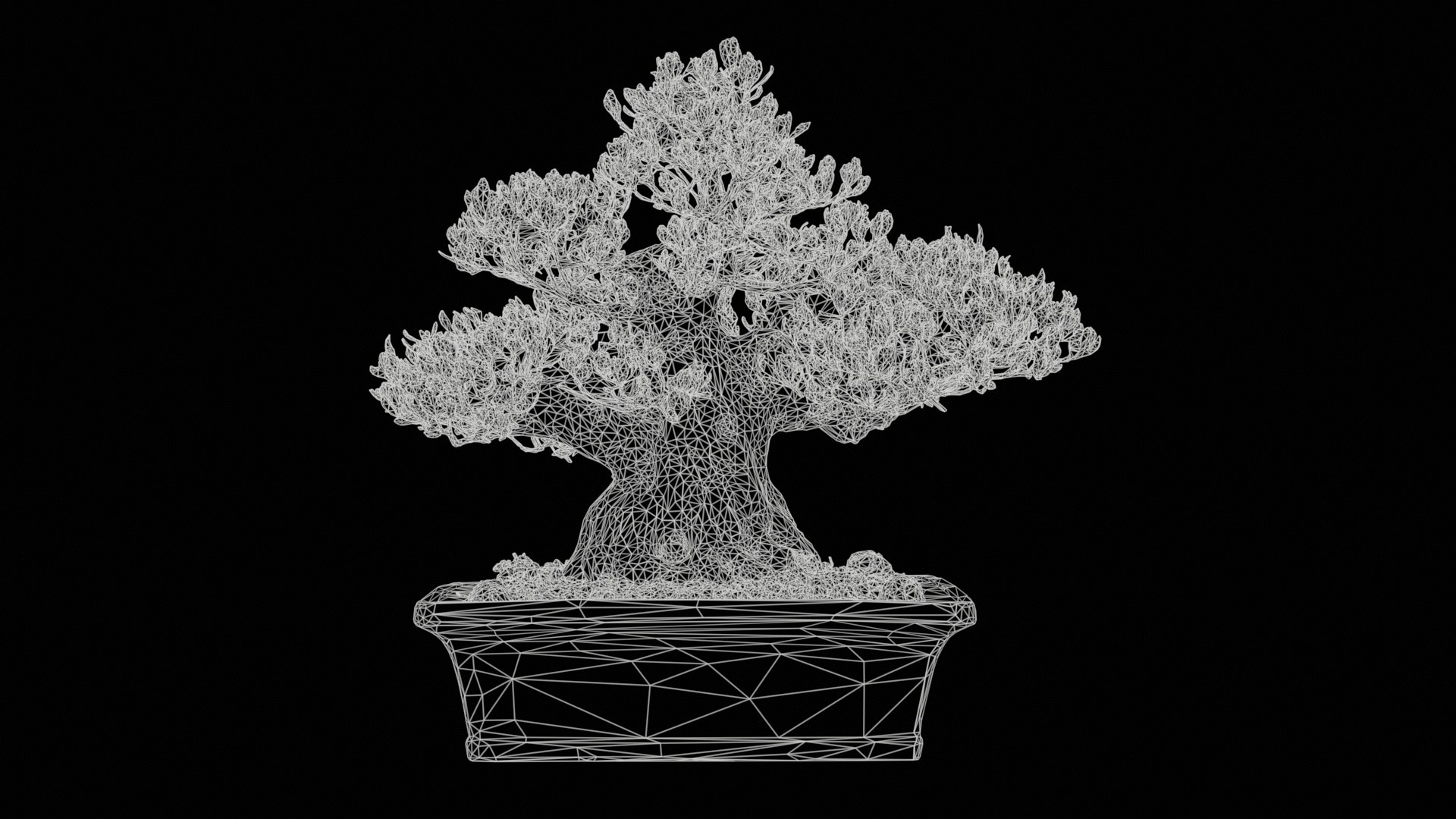 Satsuki Chinzan Bonsai Tree Remastered model https://p.turbosquid.com/ts-thumb/lD/uWOAEf/GV/satsuki_chinzan_bonsai_tree_11/jpg/1740403744/1920x1080/fit_q87/2f4ab367647fa907e2cbb64c068586c1d976b786/satsuki_chinzan_bonsai_tree_11.jpg