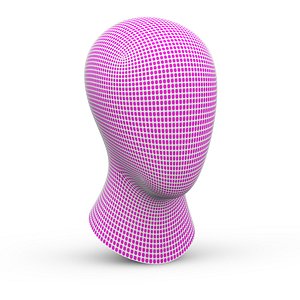 Head
