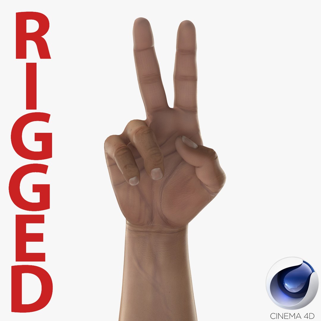 Man Hands Rigged for Cinema 4D 3D model preview