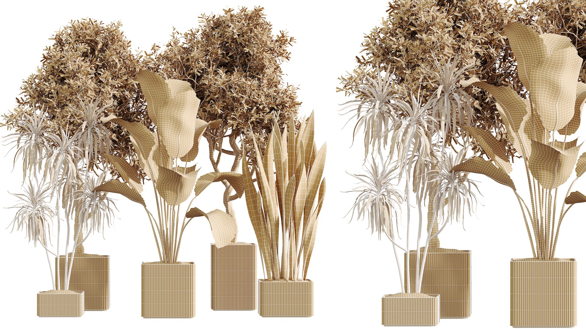 AV Indoor Plants Set 390 Warneckii Lemon and Olive and Green Sansevieria and Calathea Lutea 3D model https://p.turbosquid.com/ts-thumb/lE/9IxHTm/Oc/07/png/1760354123/1920x1080/fit_q87/18ff634329116cfedc8cadf294ace1d32e5e01fd/07.jpg