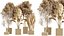 AV Indoor Plants Set 390 Warneckii Lemon and Olive and Green Sansevieria and Calathea Lutea