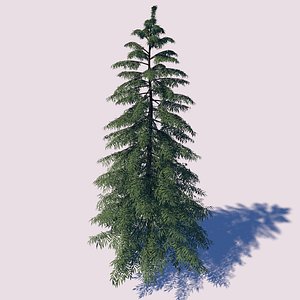 yellow cypress tree 3D