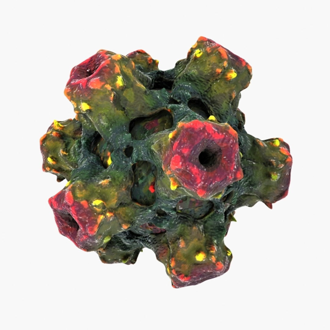 3d human papilloma virus https://p.turbosquid.com/ts-thumb/lE/GZMhyz/PNvkbRgT/h/jpg/1329588895/1920x1080/turn_fit_q99/d7508c599560d6fff819cfba3652aa0a24a31ed7/h-1.jpg