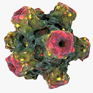 3d human papilloma virus