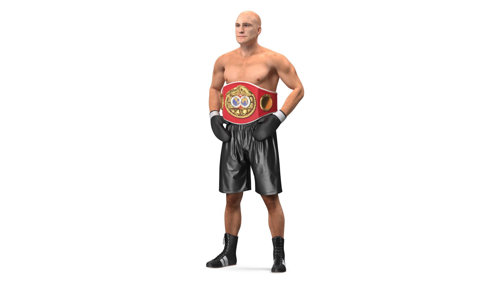 IBF Boxing Champion 3D model preview
