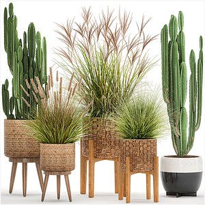 Ornamental plants in rattan baskets 1081 3D model