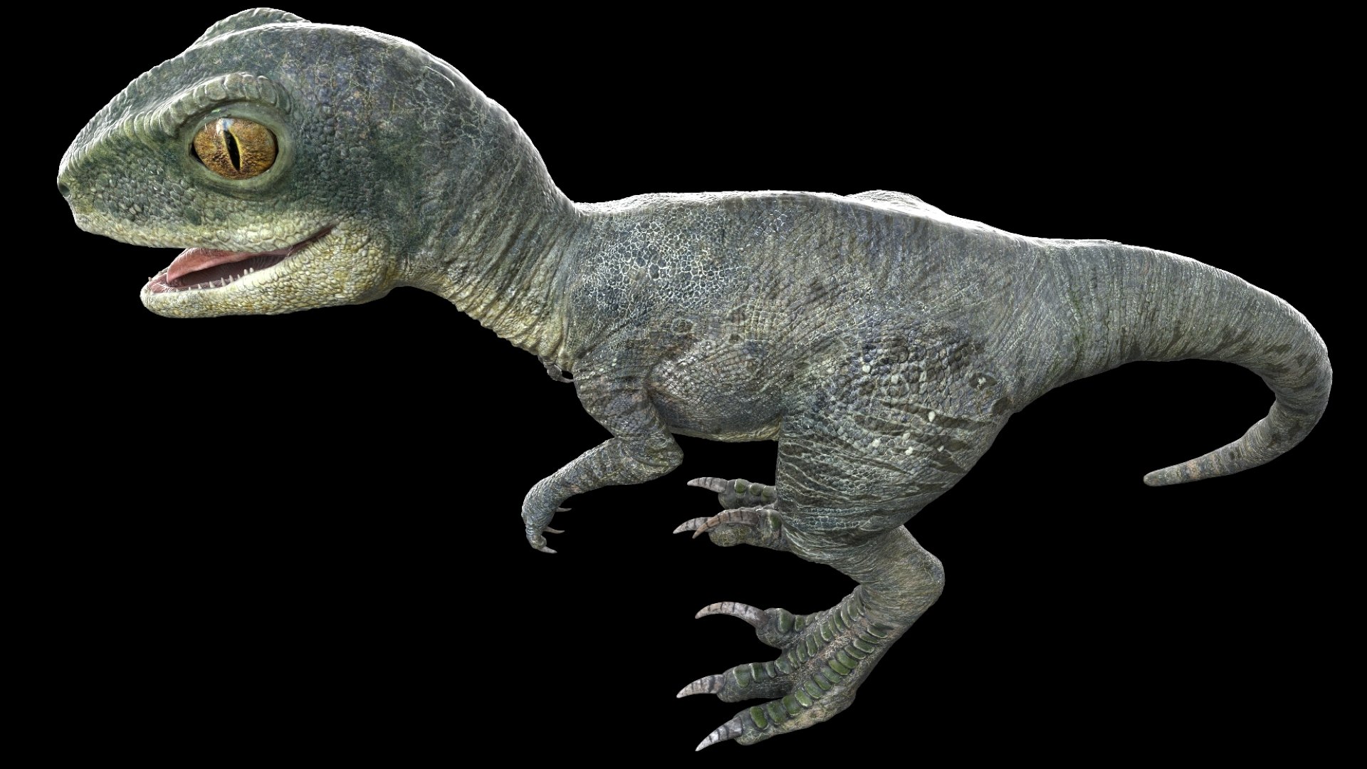 Raptor Baby Rigged 3D 3D Model - TurboSquid 2428132