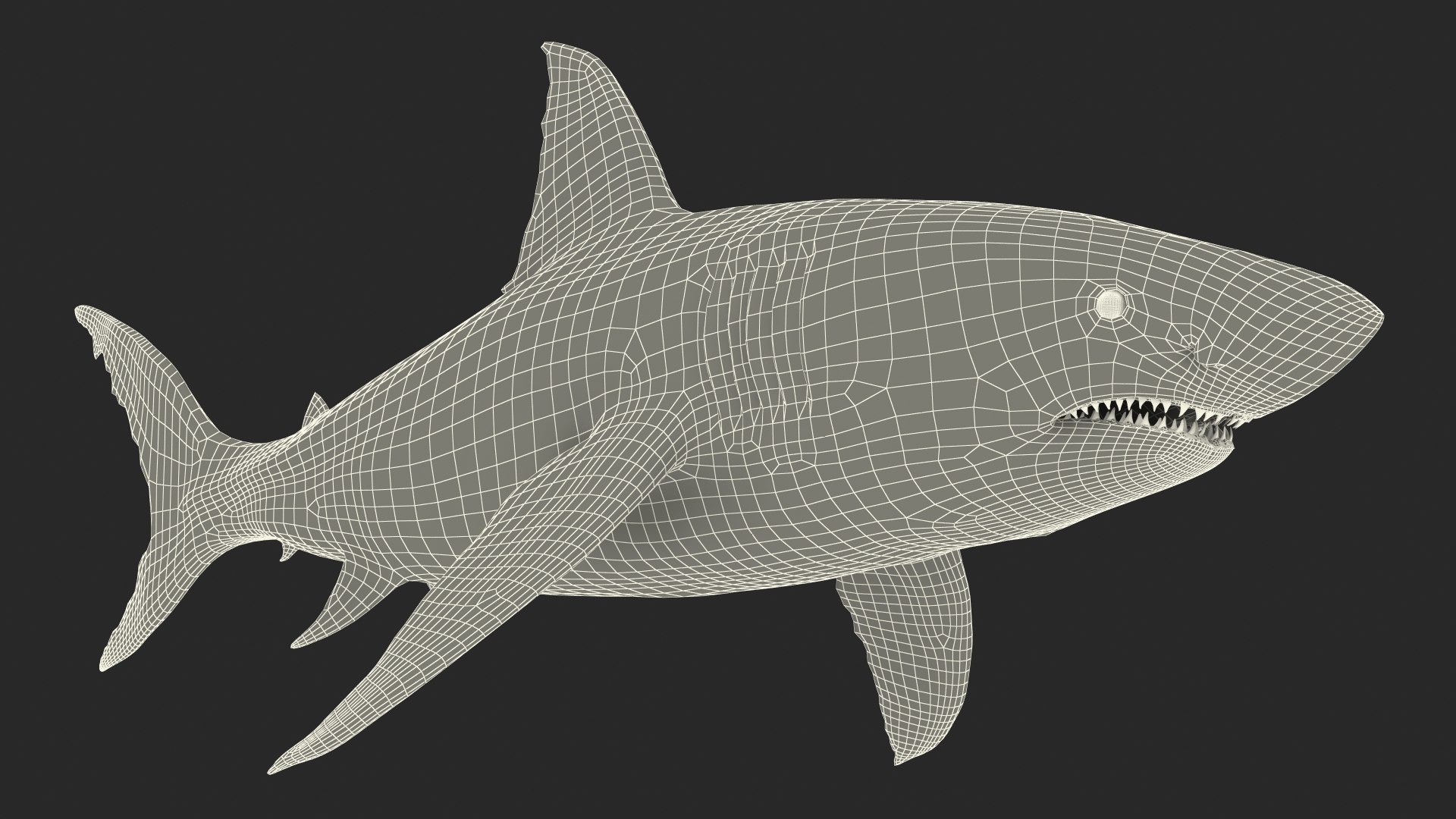 Rigged Sharks Collection 12 3D model https://p.turbosquid.com/ts-thumb/lE/MkGVXp/1q/riggedsharkscollection123dsmodel059/jpg/1694385436/1920x1080/fit_q87/3d3934c0bbb6707377b179ab0cea060d8601fe5d/riggedsharkscollection123dsmodel059.jpg