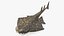 Collezione Squali truccati 12