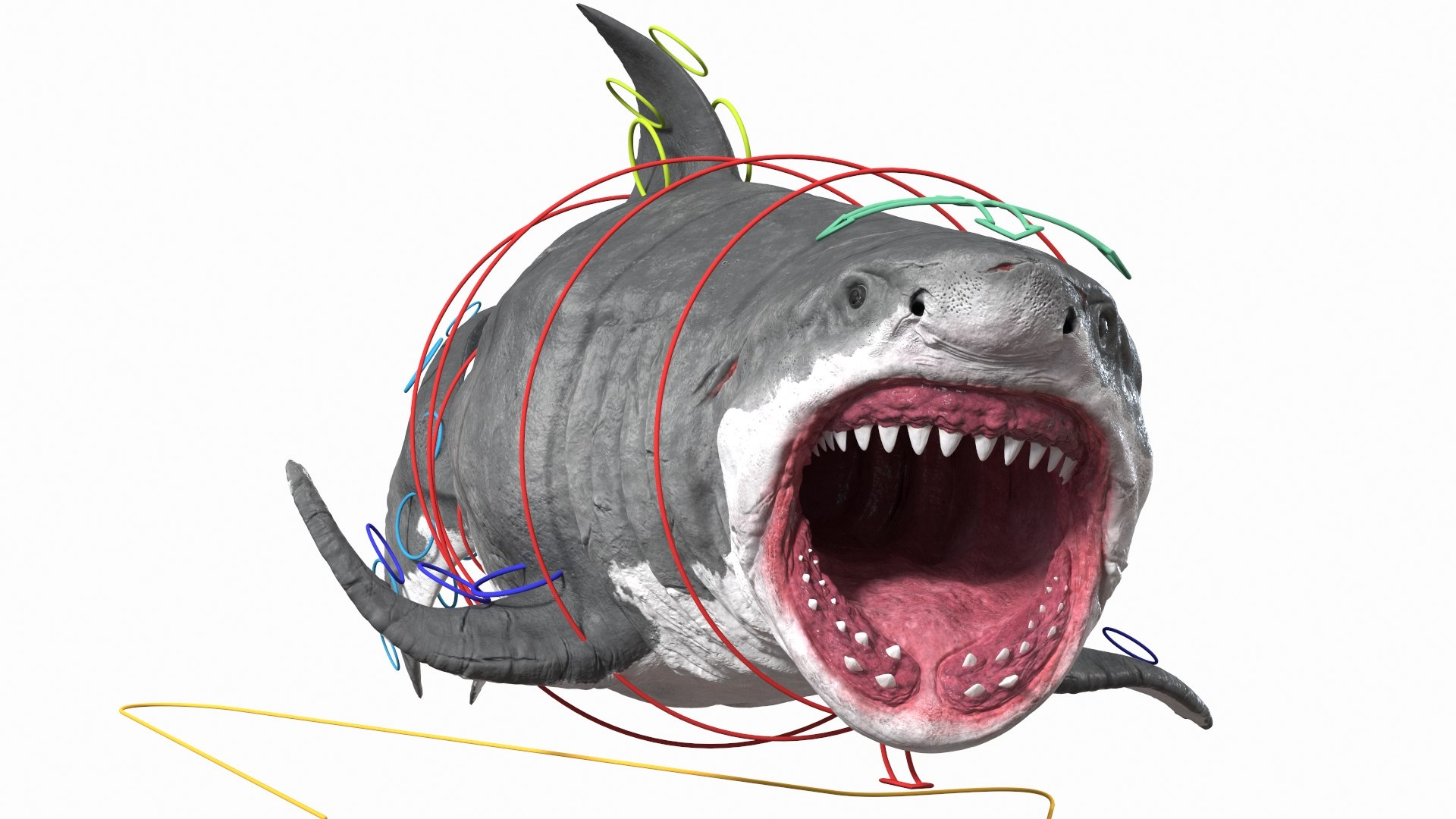 Rigged Sharks Collection 12 3D model https://p.turbosquid.com/ts-thumb/lE/MkGVXp/6y/riggedsharkscollection123dsmodel028/jpg/1694385315/1920x1080/fit_q87/3406721ec5ba15a276f5bf6010605b03ec182bc7/riggedsharkscollection123dsmodel028.jpg