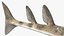 Collezione Squali truccati 12
