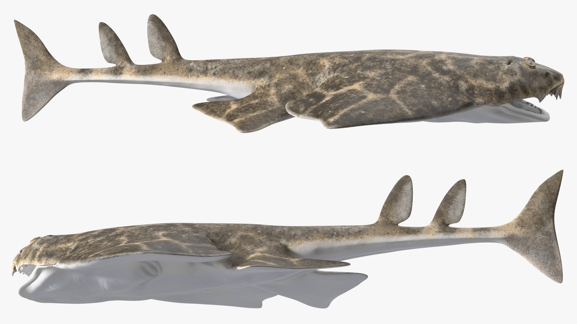 Rigged Sharks Collection 12 3D model https://p.turbosquid.com/ts-thumb/lE/MkGVXp/fN/riggedsharkscollection123dsmodel011/jpg/1694385252/1920x1080/fit_q87/d77a766b3dd845a8ab7ee51c7f68591553847f84/riggedsharkscollection123dsmodel011.jpg