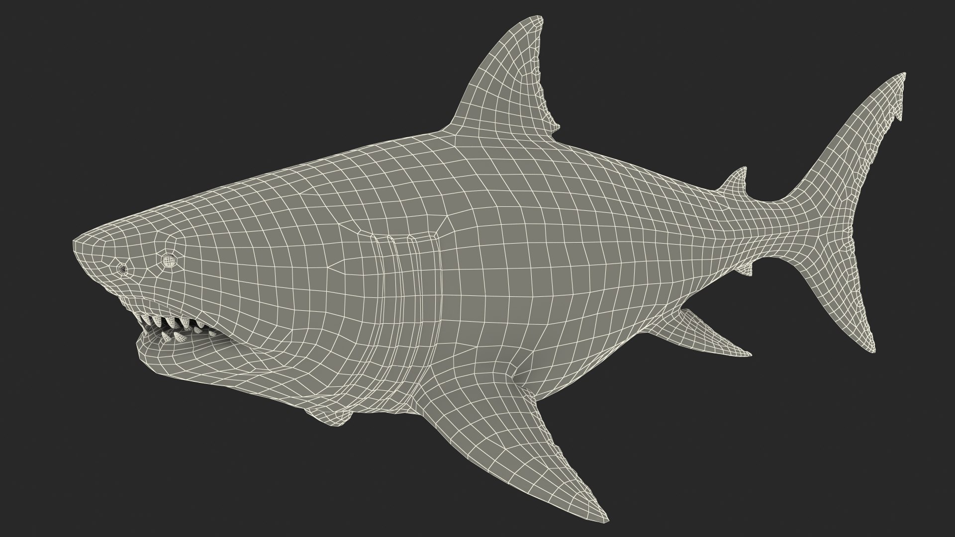 Rigged Sharks Collection 12 3D model https://p.turbosquid.com/ts-thumb/lE/MkGVXp/nP/riggedsharkscollection123dsmodel058/jpg/1694385432/1920x1080/fit_q87/c60df9110bedfc3864bd164bd1fb6317f8b6b2df/riggedsharkscollection123dsmodel058.jpg