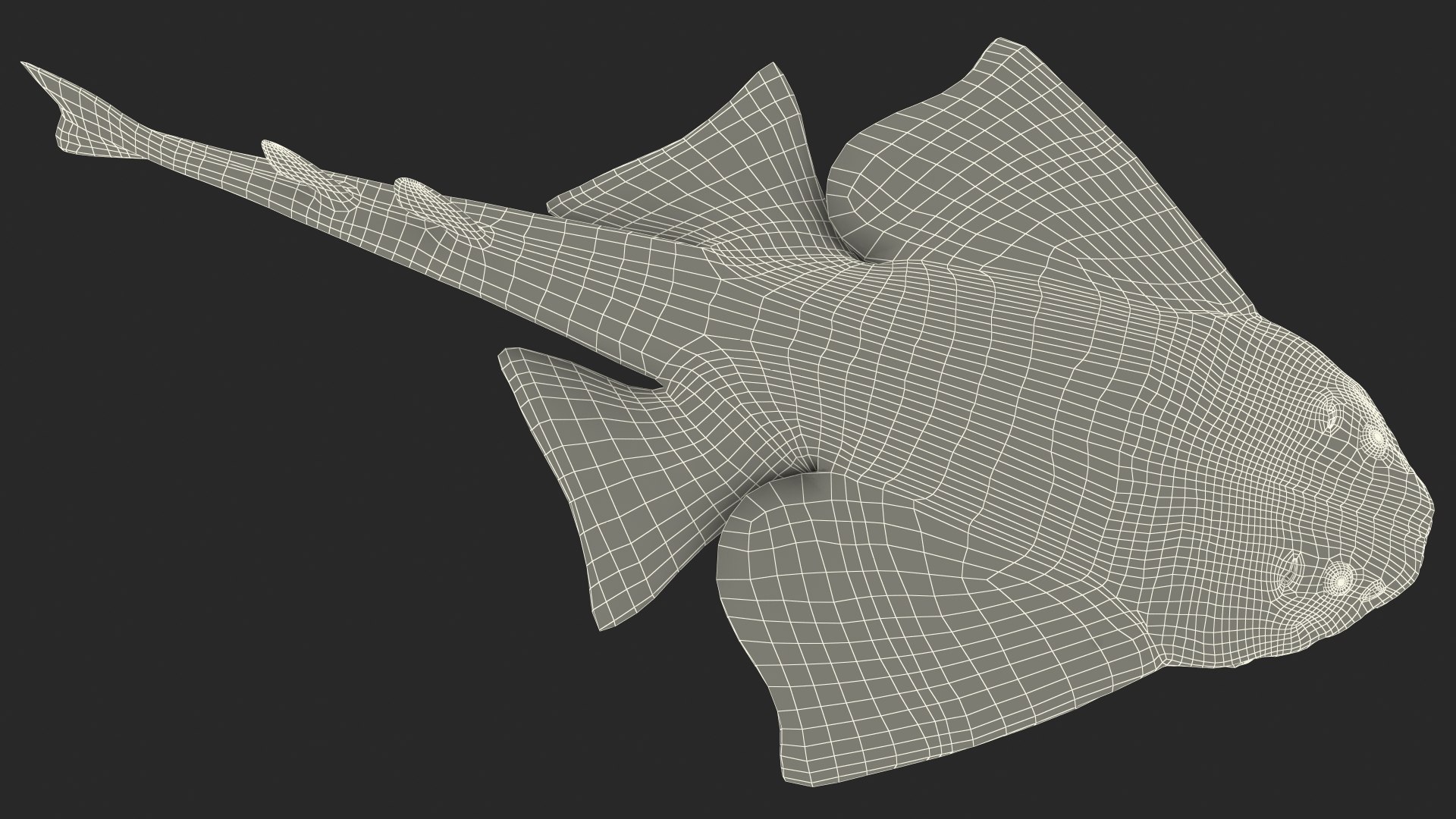 Rigged Sharks Collection 12 3D model https://p.turbosquid.com/ts-thumb/lE/MkGVXp/xO/riggedsharkscollection123dsmodel057/jpg/1694385428/1920x1080/fit_q87/ea0176cb8ace9b681c1d50f9082ccff5d1bc16ed/riggedsharkscollection123dsmodel057.jpg