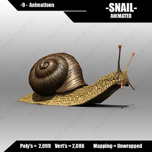 Snail(1)