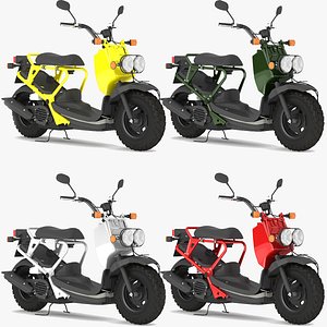 Honda Zoomer collecion