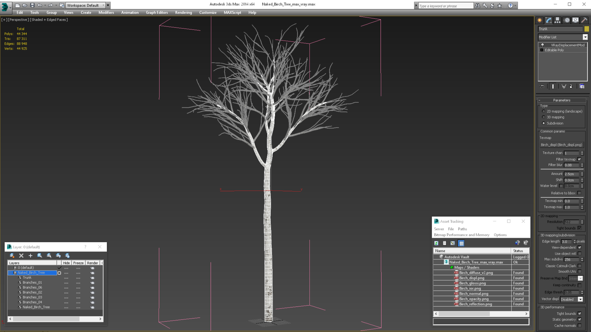 Naked Birch Tree 3d Turbosquid 1786777