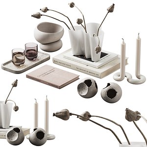 370 decorative set 038 cracked spheres and dried poppy seeds 3D