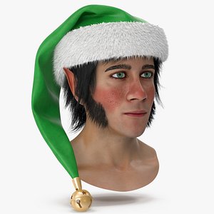 Christmas Elf Head 2