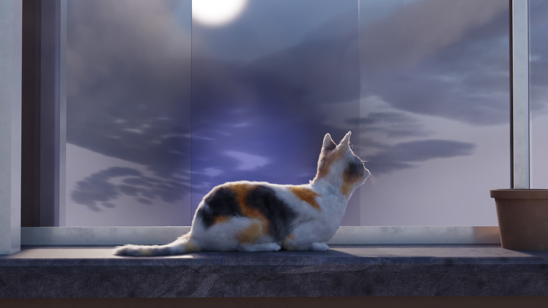 3D Cat White Black Calico Tabby Orange Siamese Sphynx Etc - TurboSquid ...