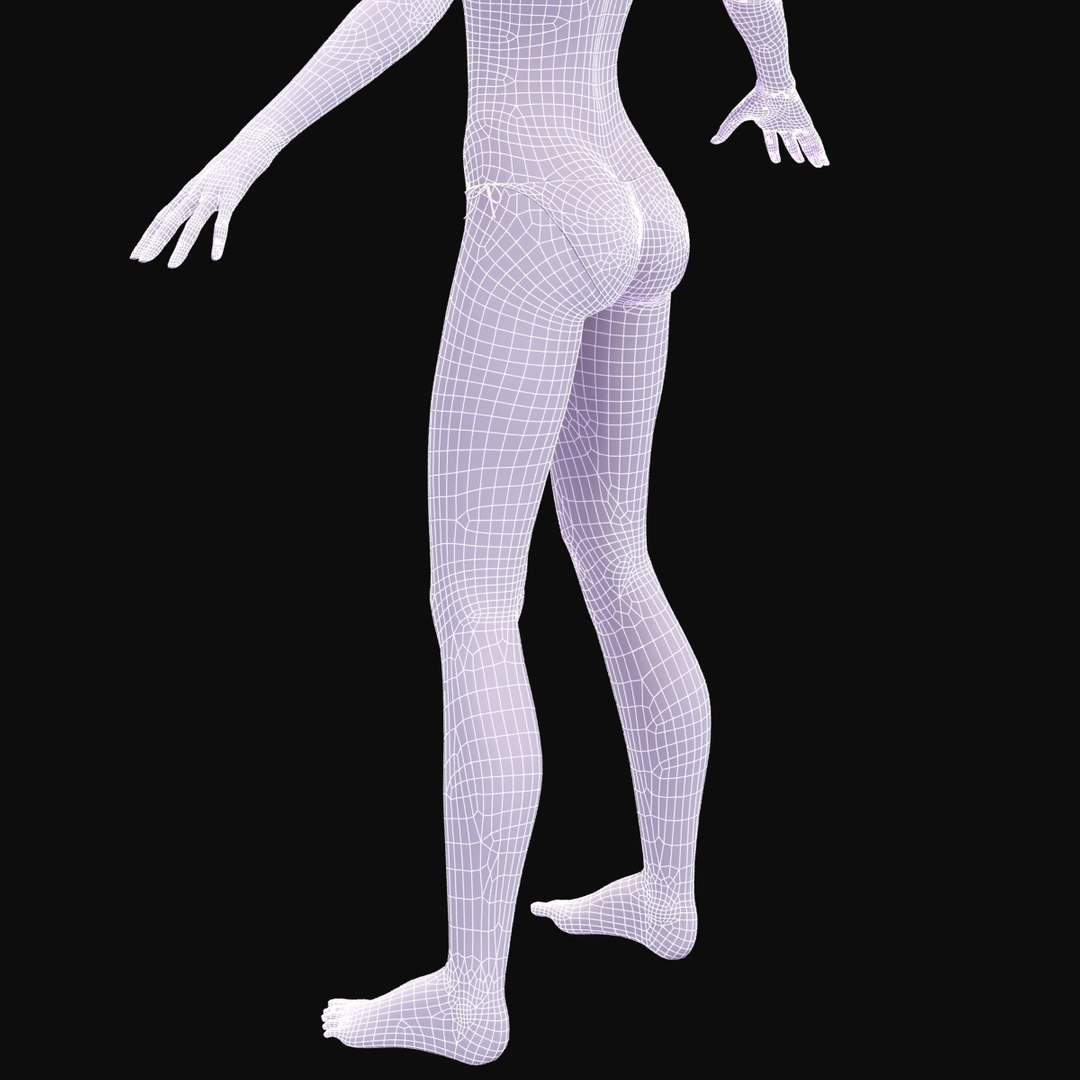 Slim Female Anatomy 3d Max