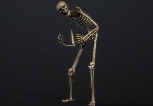 Game-Ready Stylized Skeleton model