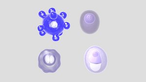 3D model viruses and Cells Collection