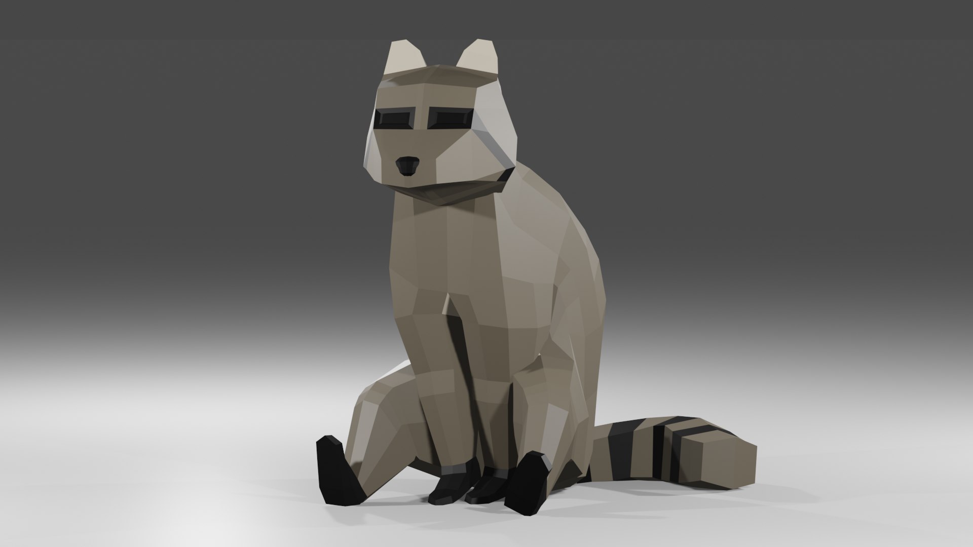Raccoon Rigged Low Poly Model - TurboSquid 1836312