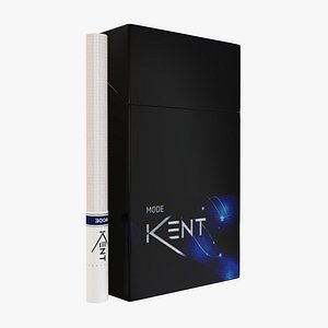 closed cigarette kent 3D