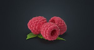 Raspberry
