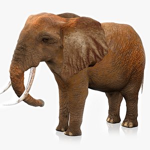 African Elephant RIGGED L2367 3D