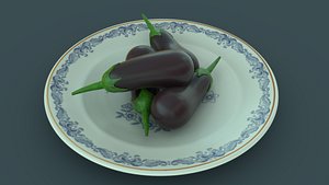 Brinjal Solanum Melongena Eggplant 3D model
