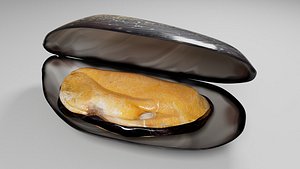 Mussel 3D model