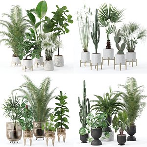 20 Photorealistic Flowers for Interiors - set 120 123 136 140